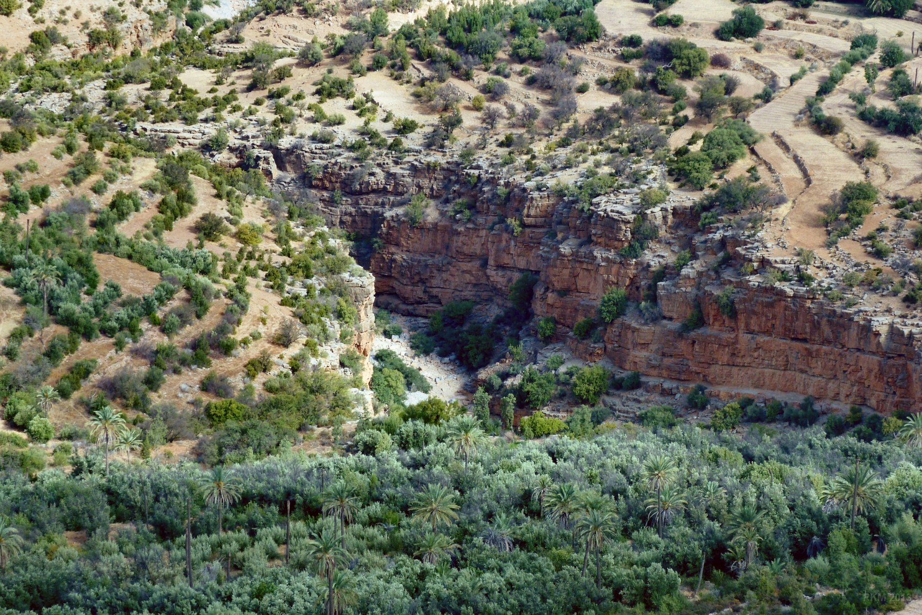Tiskji, gorge de l'oued au pied des cascades à sec